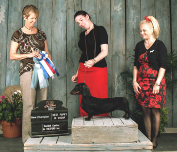 Winners Bitch, Best of Breed and Best puppy in group. Sublime is now  Canadian Champion