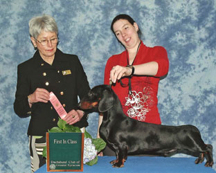 Ch Mylo First in Class, Dachshund of Greater Syracuse